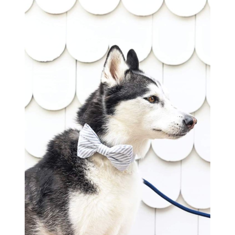 Dusty Blue Stripe Dog Bow Tie (Made in the USA)