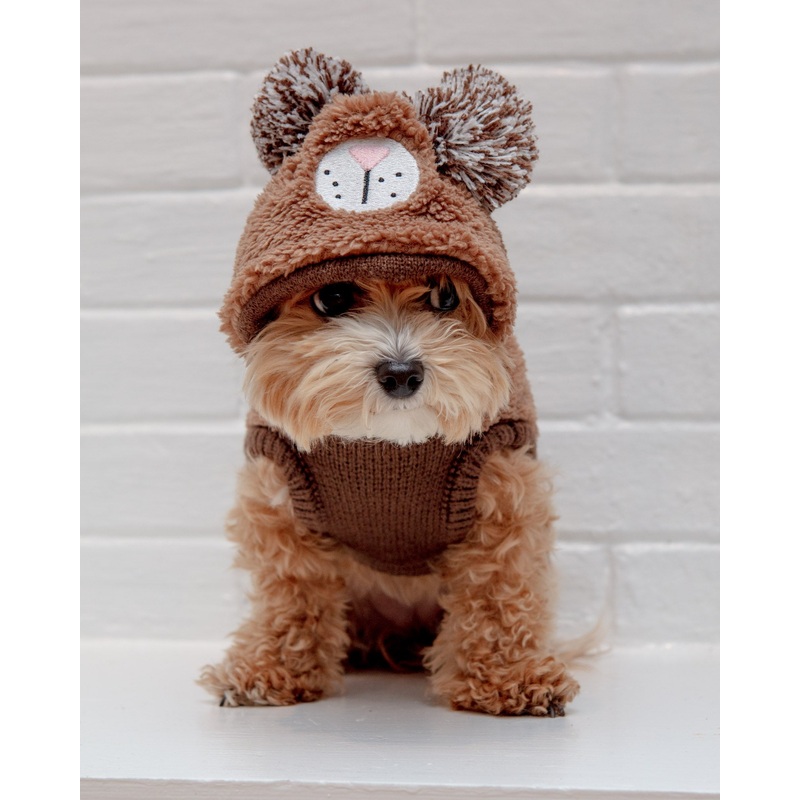 Fuzzy Wuzzy Teddy Bear Dog Hoodie