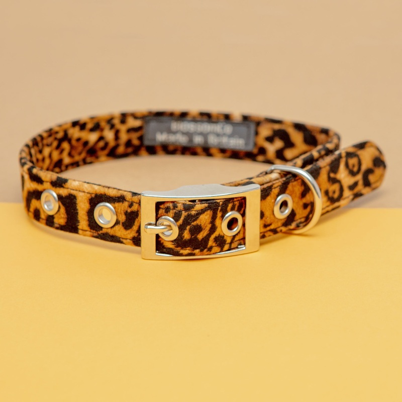 Leopard Dog Collar << CLEARANCE >>