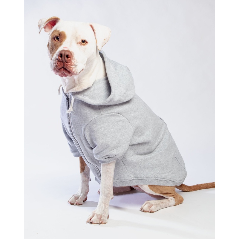Light Grey Zip-Up Dog Hoodie << FINAL SALE >>