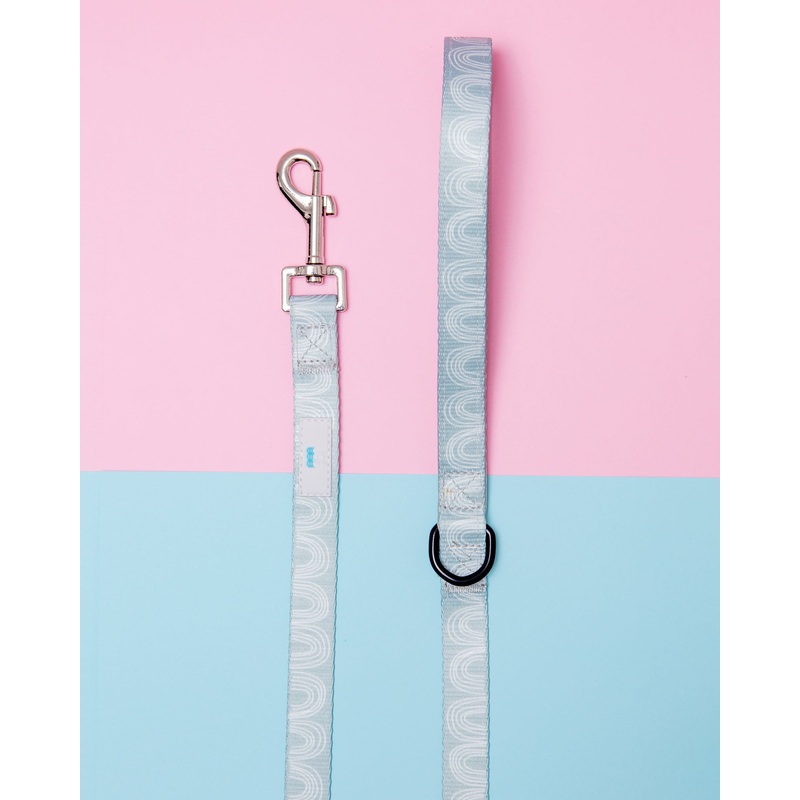 Nylon Dog Lead in Indio Print(FINAL SALE)