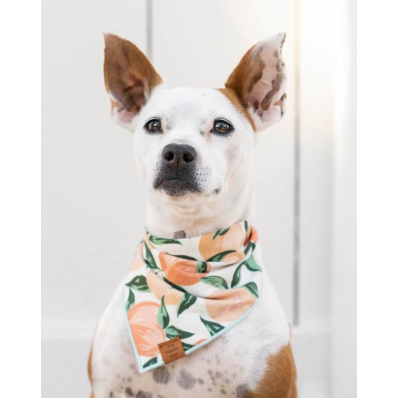 Peaches and Cream Dog Bandana (Made in the USA) (FINAL SALE)