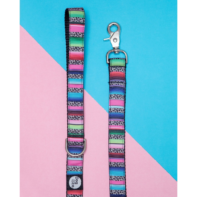 Rainbow Serape + Leopard Dog Leash (Made in NYC)