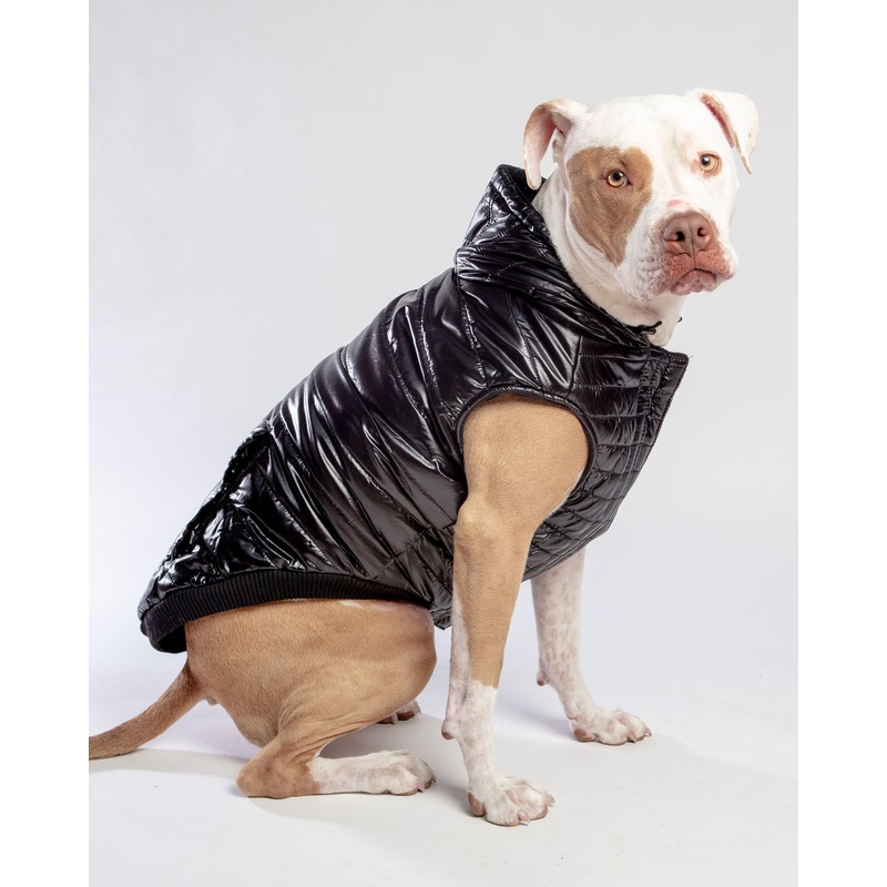 Shiny Puffer Dog Coat in Black (FINAL SALE)