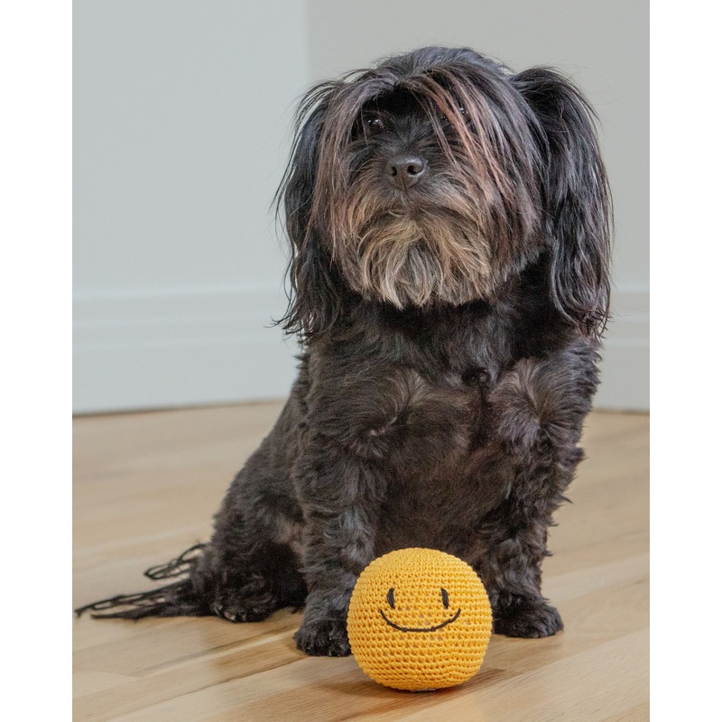 Smiley Face Dog Knit Squeaker Toy in Yellow