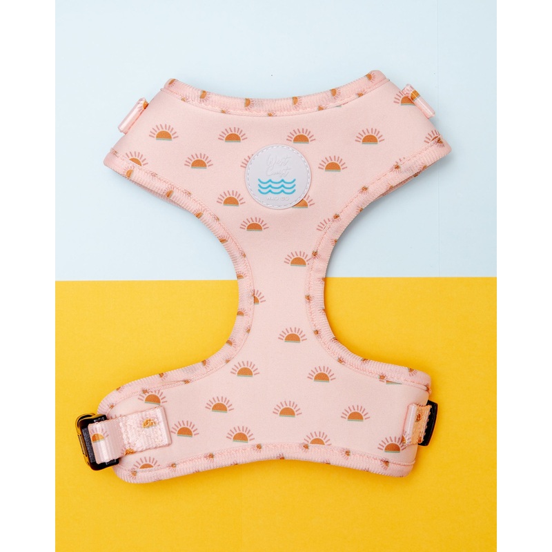 Soft Mesh Dog Harness in Joshua Tree Print (FINAL SALE)