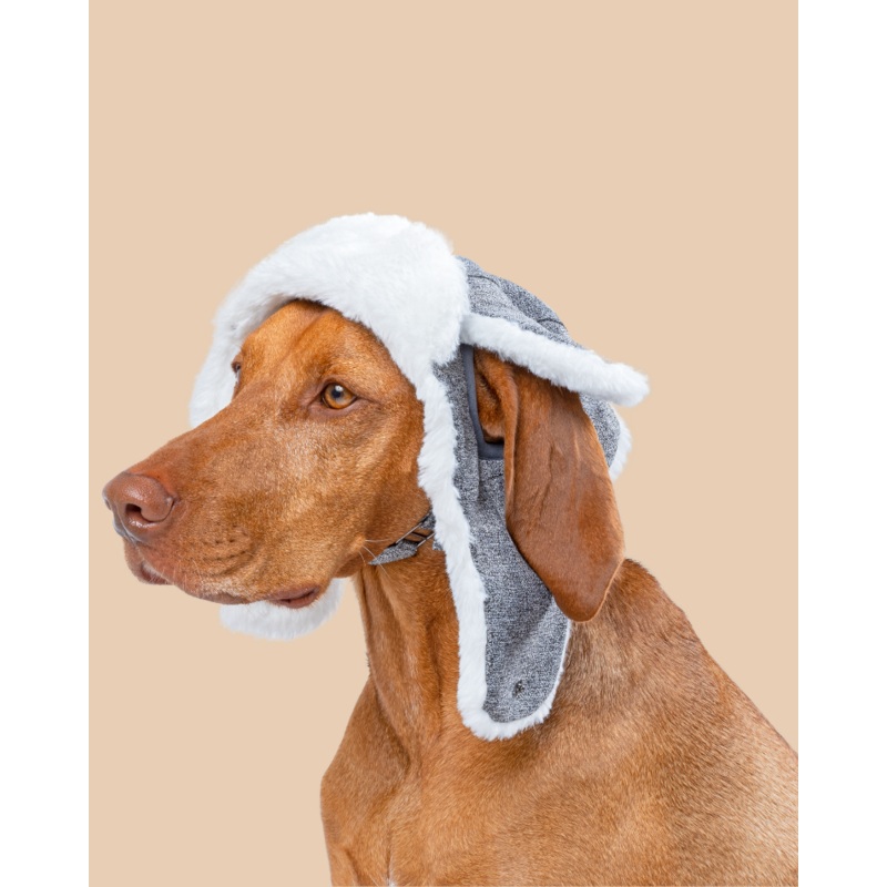 Arctic Air Aviator Dog Hat|Small|Medium|Large|X-Large