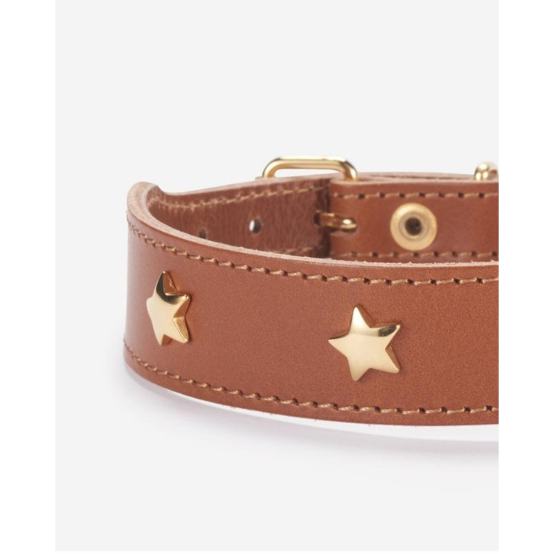 Cognac Leather Dog Collar with Brass Stars (Made in Italy)