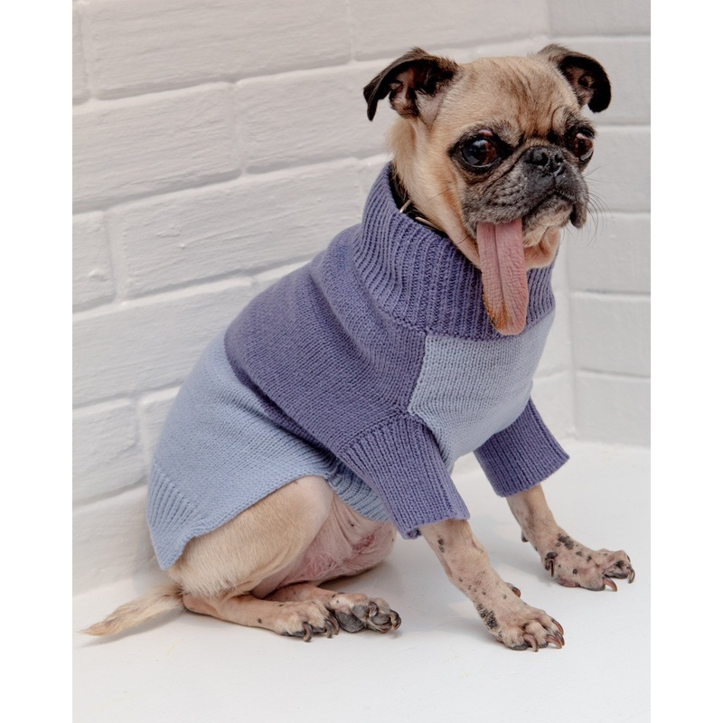 Colorblock Knit Dog Sweater in 2-Tone Blue((FINAL SALE))