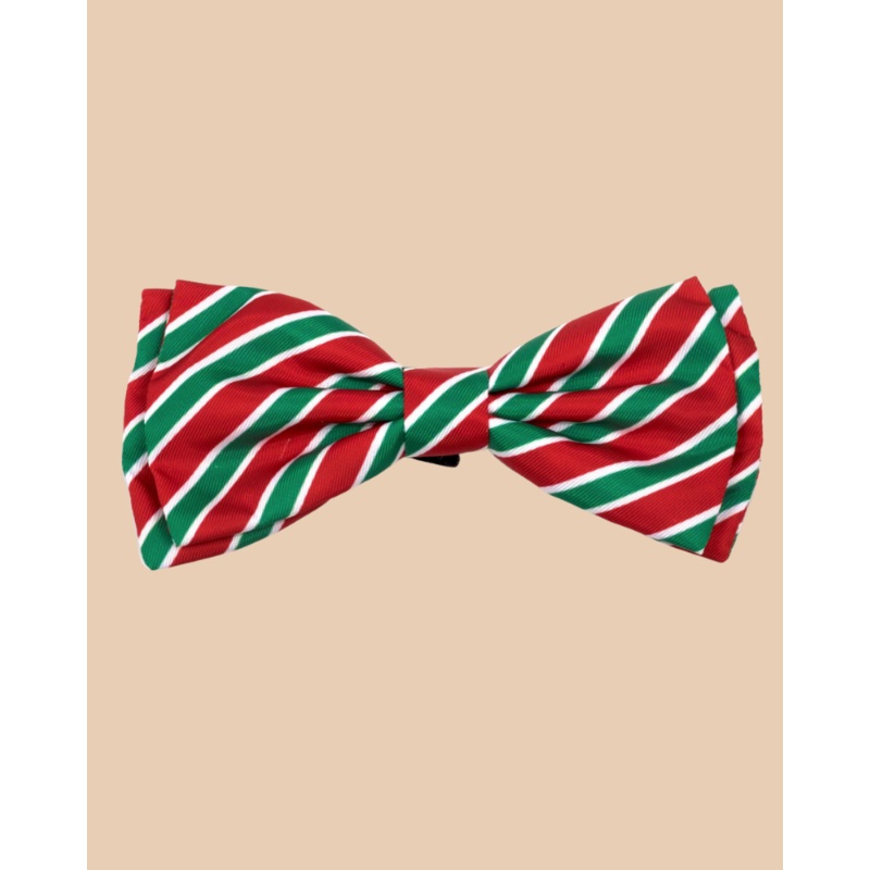 Dignified Dog Bow Tie in Holiday Stripe << FINAL SALE >>