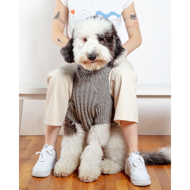 Downtown Roll Neck Dog Sweater in Grey (FINAL SALE)