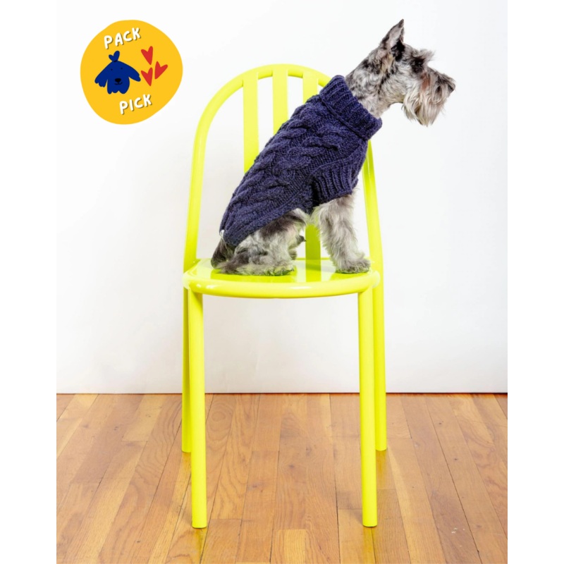 Downtown Roll Neck Dog Sweater in Navy