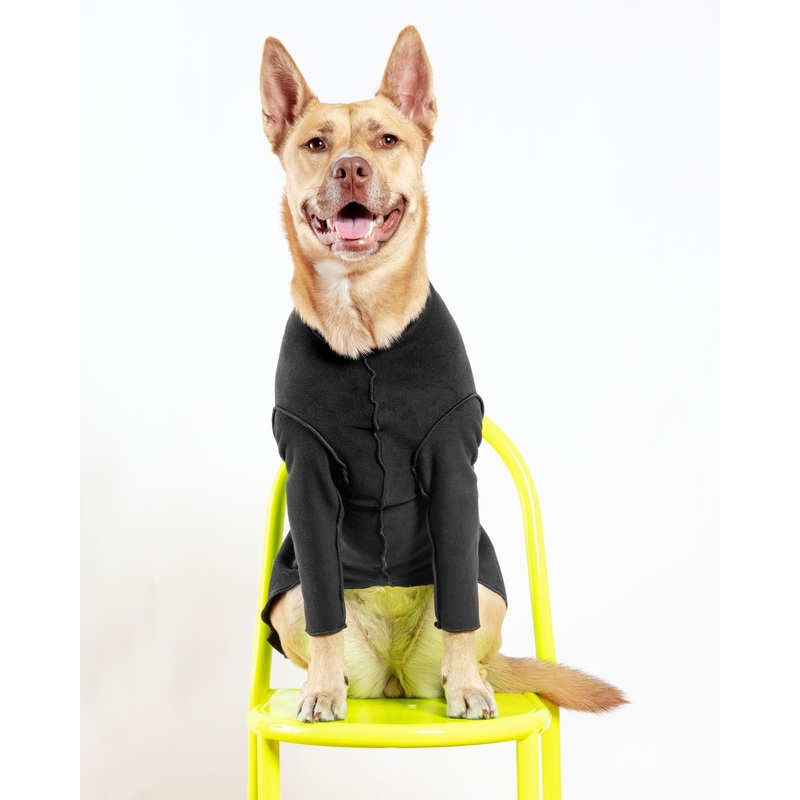 Long-Sleeve Pullover Stretch Dog Fleece in Black (Made in the USA, Dog & Co. Exclusive!)