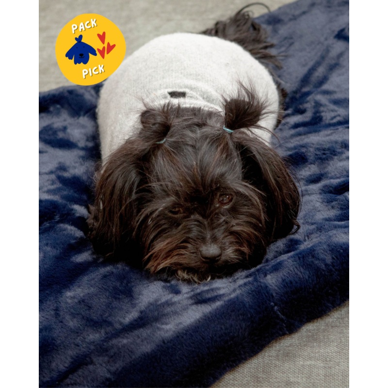Mini Faux Fur Brady Dog Blanket in Navy