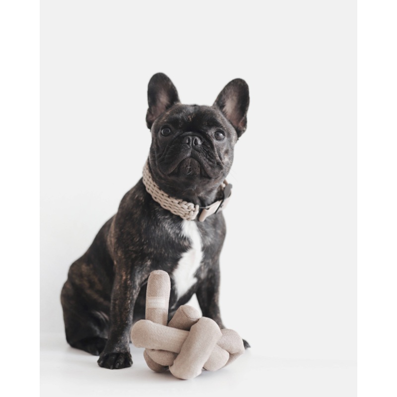 NouNou Interactive Dog Toy in Tan