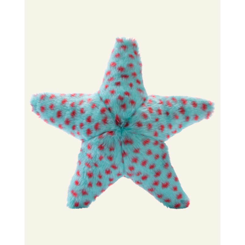 Ally The Starfish Crinkle Plush Dog Toy (FINAL SALE)