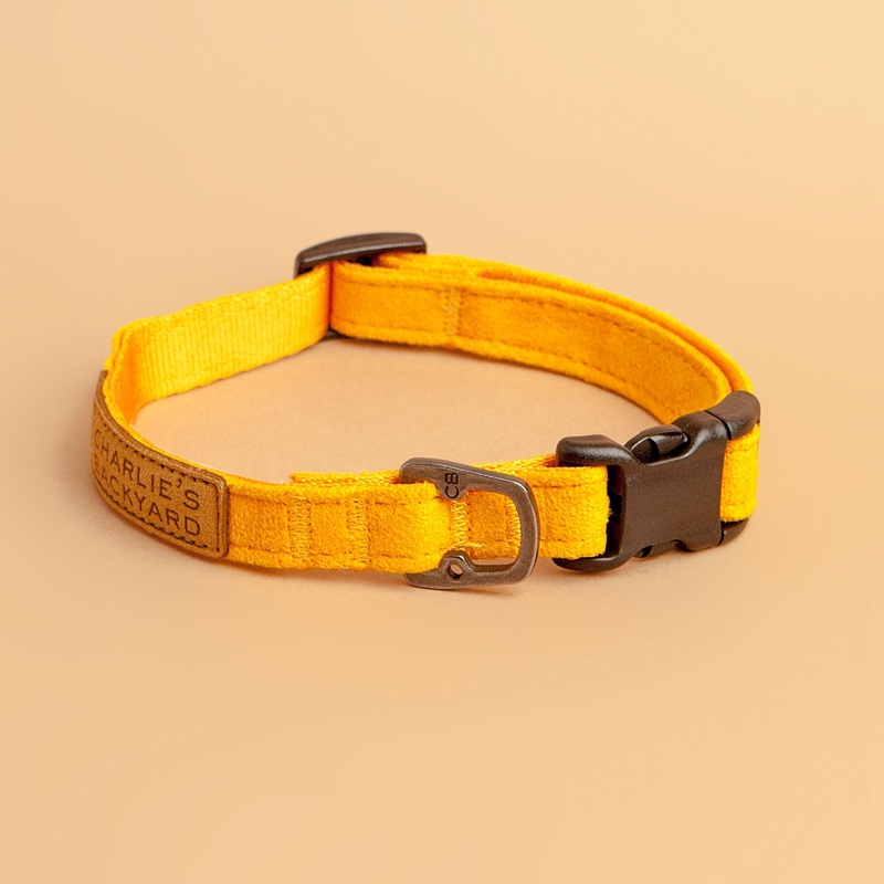Easy Dog Collar in Yellow|Small 9-12|Medium 11-16