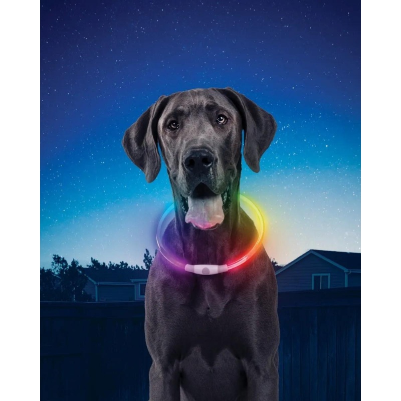 NITEHOWL Rechargeable Led Safety Dog Necklace
