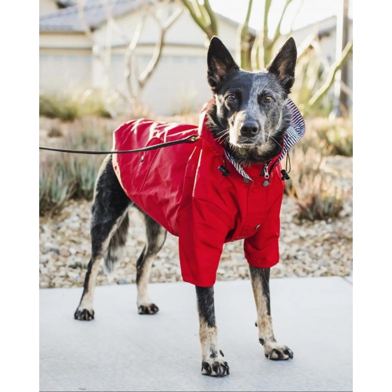 Rainy Day Dog Raincoat in Red|X-Small|Small|Medium|Large|X-Large|XX-Large