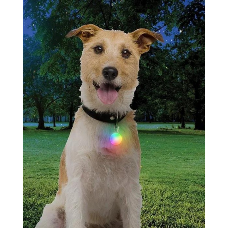 Rechargeable Dog Collar Light in Disc-O-Tech