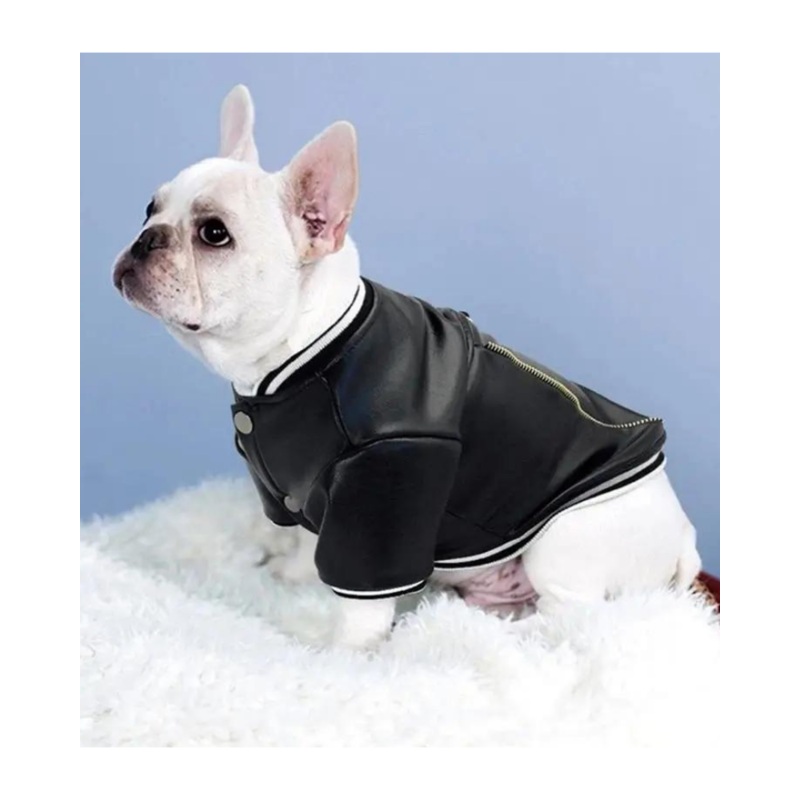 Very Varsity Faux Leather Dog Jacket with D-Ring (FINAL SALE)