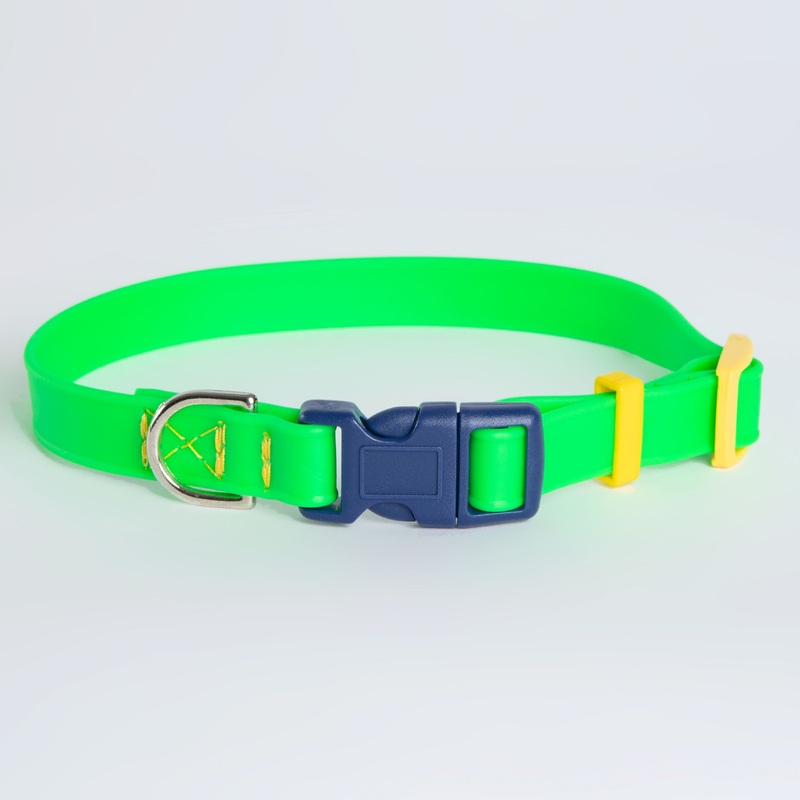 A Walk in the Park Dog Collar in Neon Green (Made in the USA)