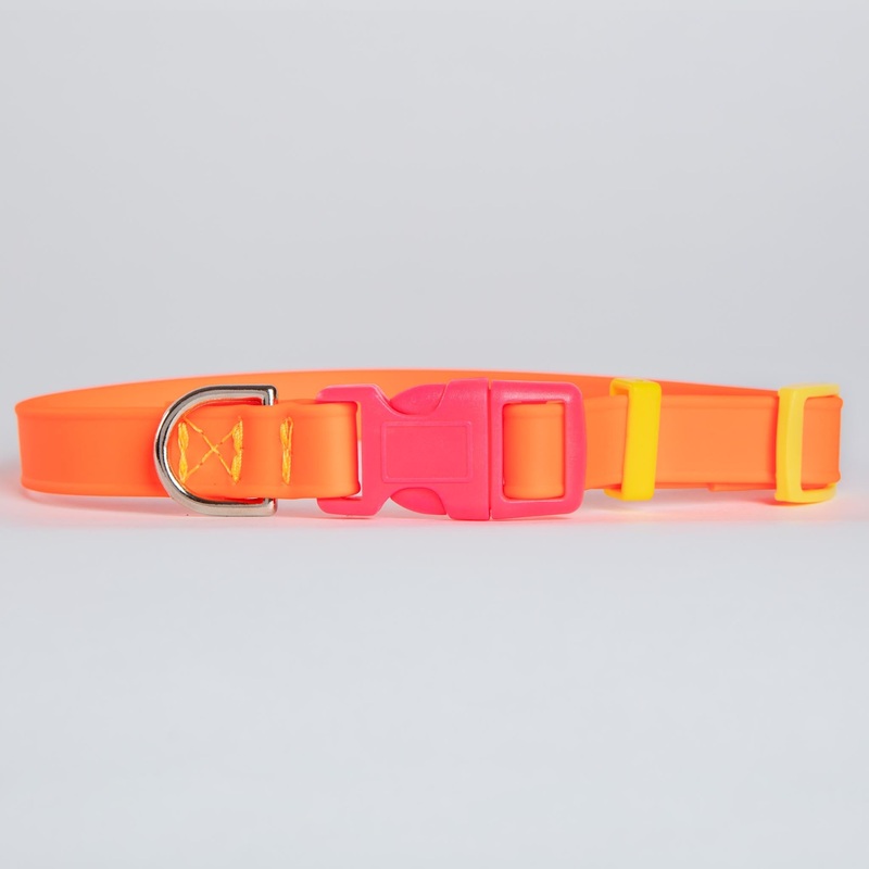 A Walk in the Park Dog Collar in Neon Orange (Made in the USA)