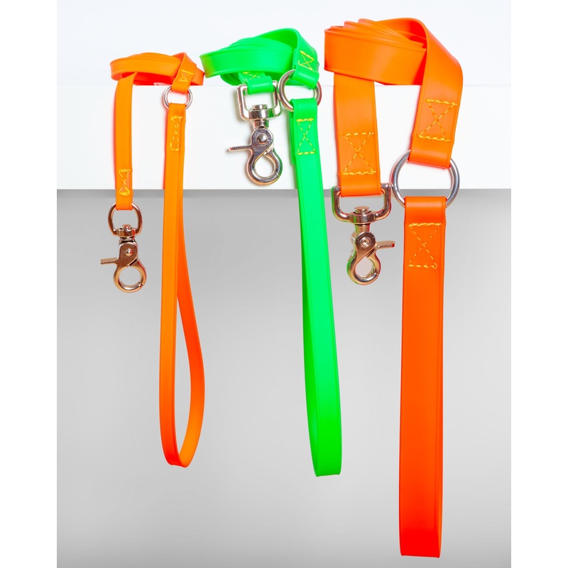 A Walk in the Park Dog Leash (Made in the USA)