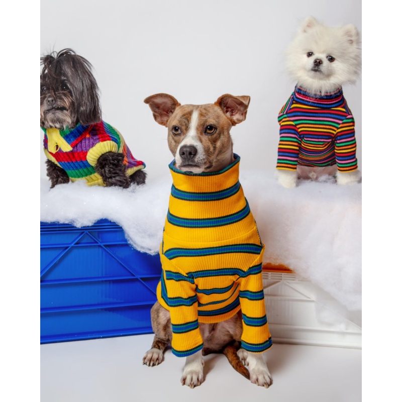 Back To School Ribbed Dog Pullover