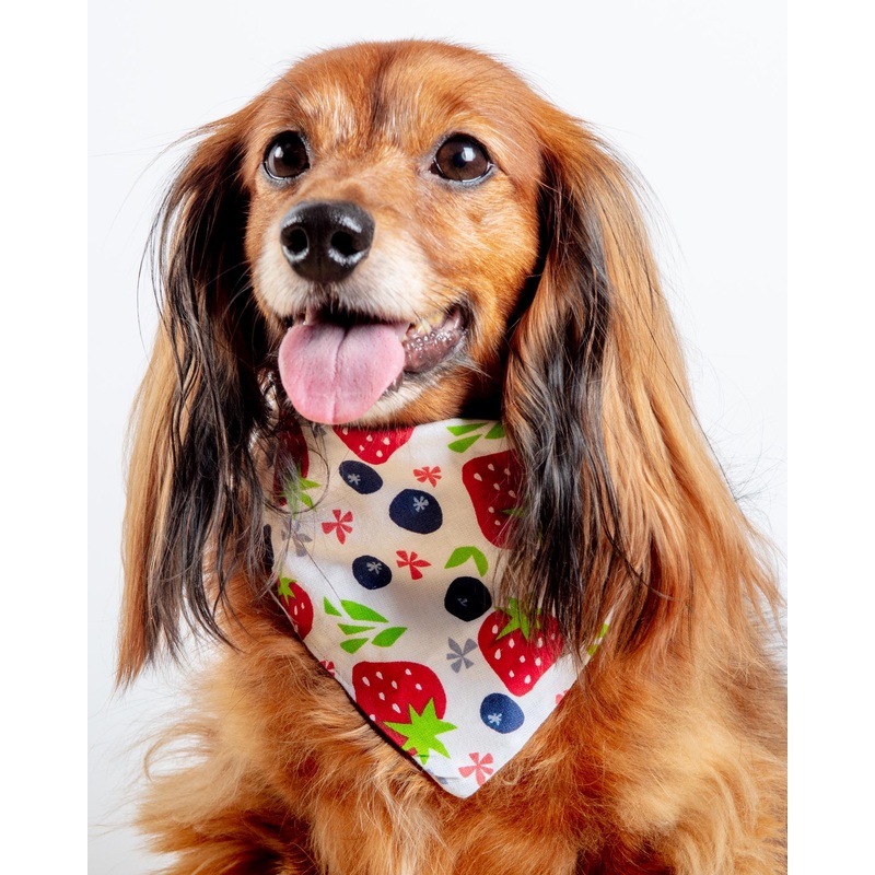 Berries & Cream Bandana(Made in the USA) (FINAL SALE)
