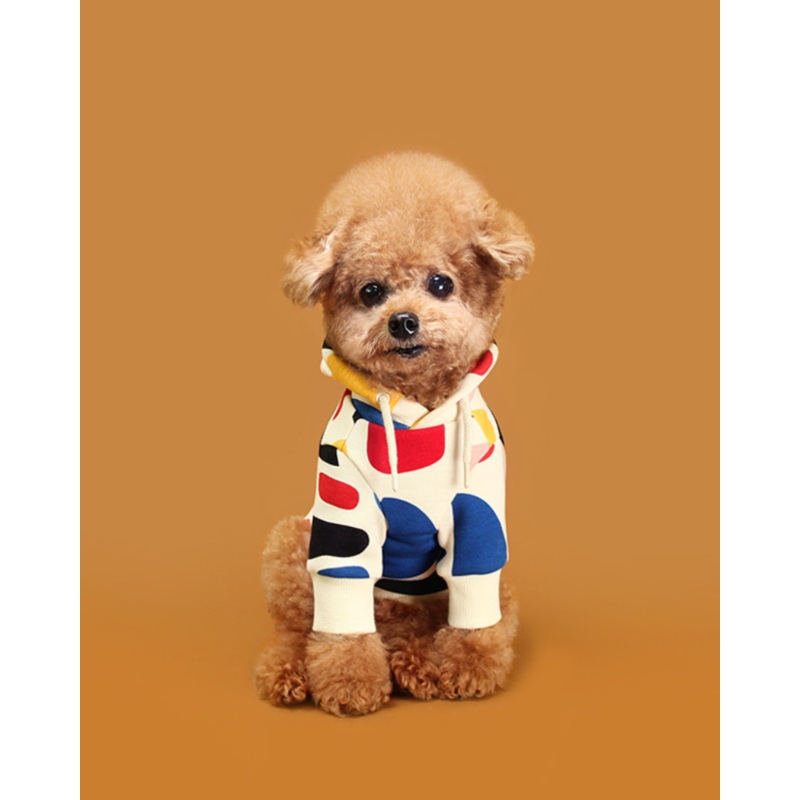 Colorful Design Dog Hoodie in Ivory