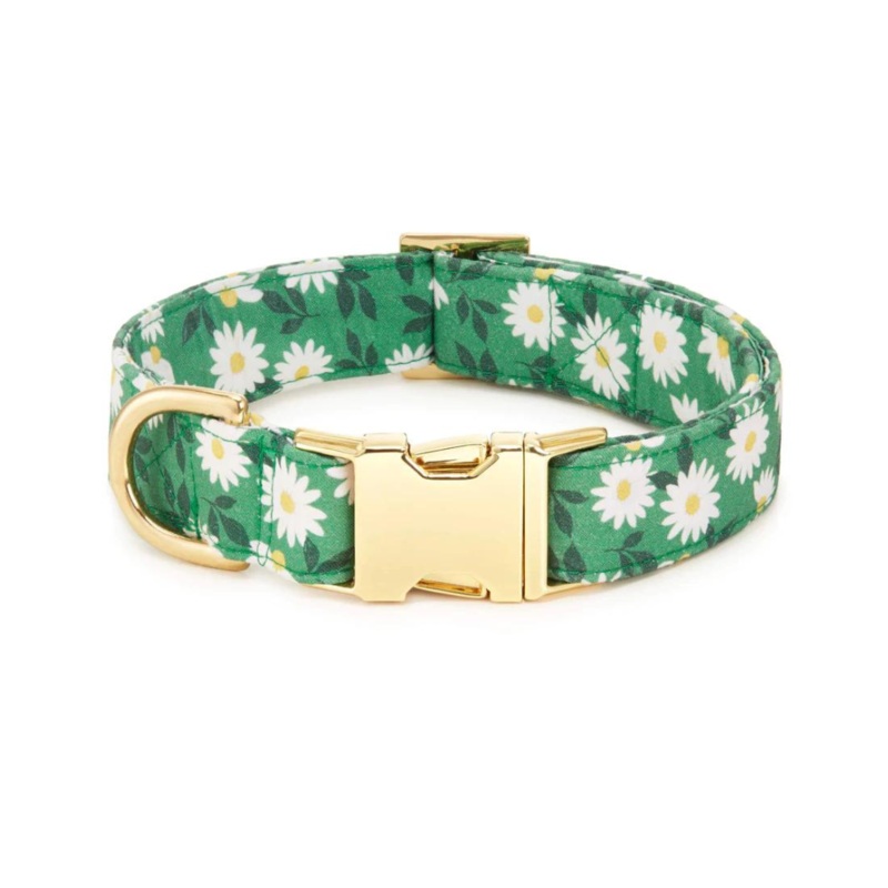 Coming Up Daisies Dog Collar(Made in the USA)