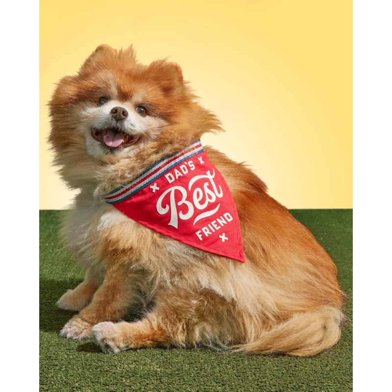Dad’s Best Friend Dog Bandana (FINAL SALE)
