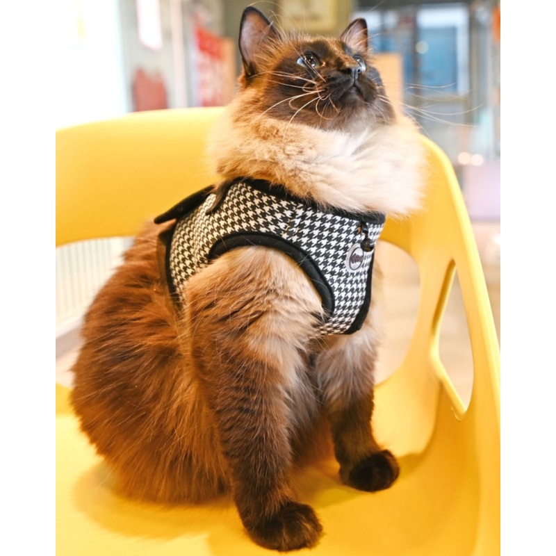 Houndstooth Step-In Cat Harness (FINAL SALE)