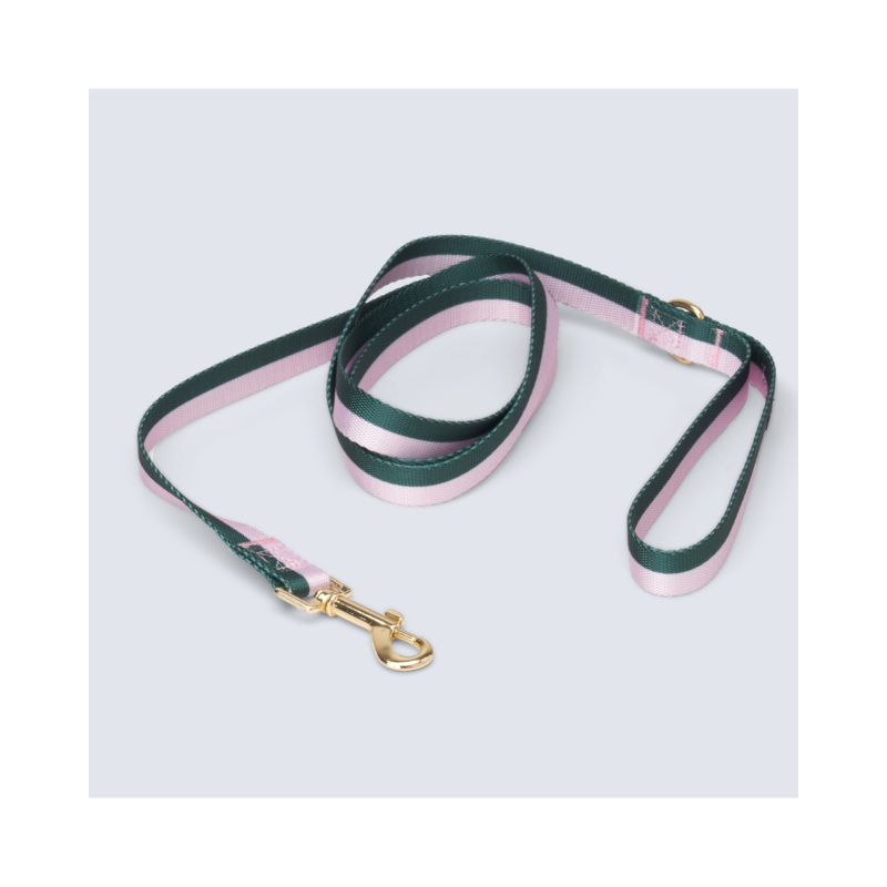 Hunter + Blush Stripe Dog Leash (FINAL SALE)