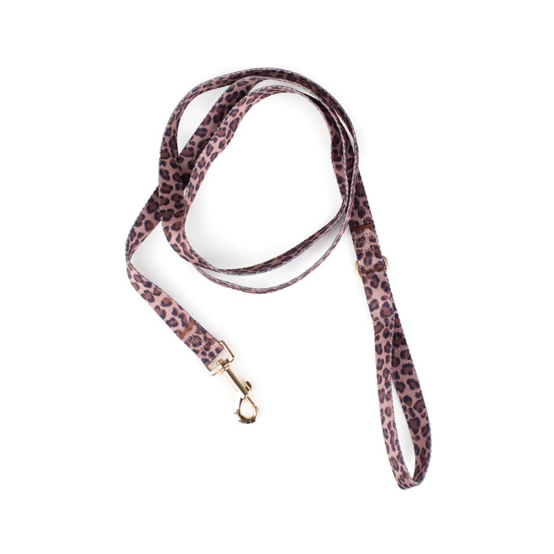 Leopard Dog Leash (FINAL SALE)
