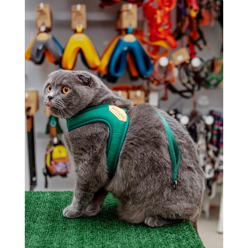 Adjustable Easy Dog Harness in Green