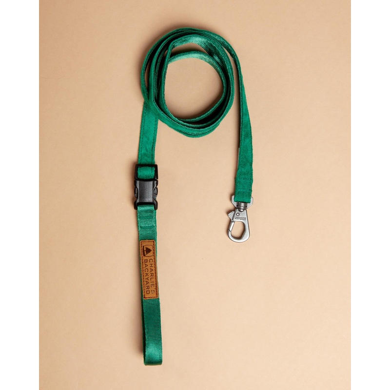Adjustable Easy Dog Leash in Green