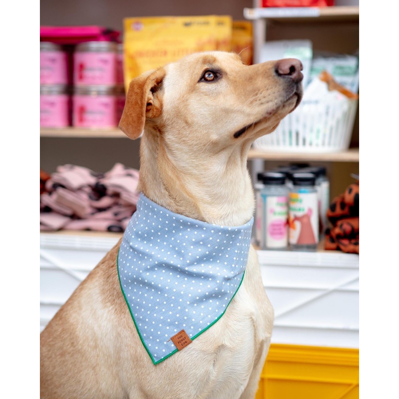 Chambray Dots Dog Bandana|Small|Medium|Large