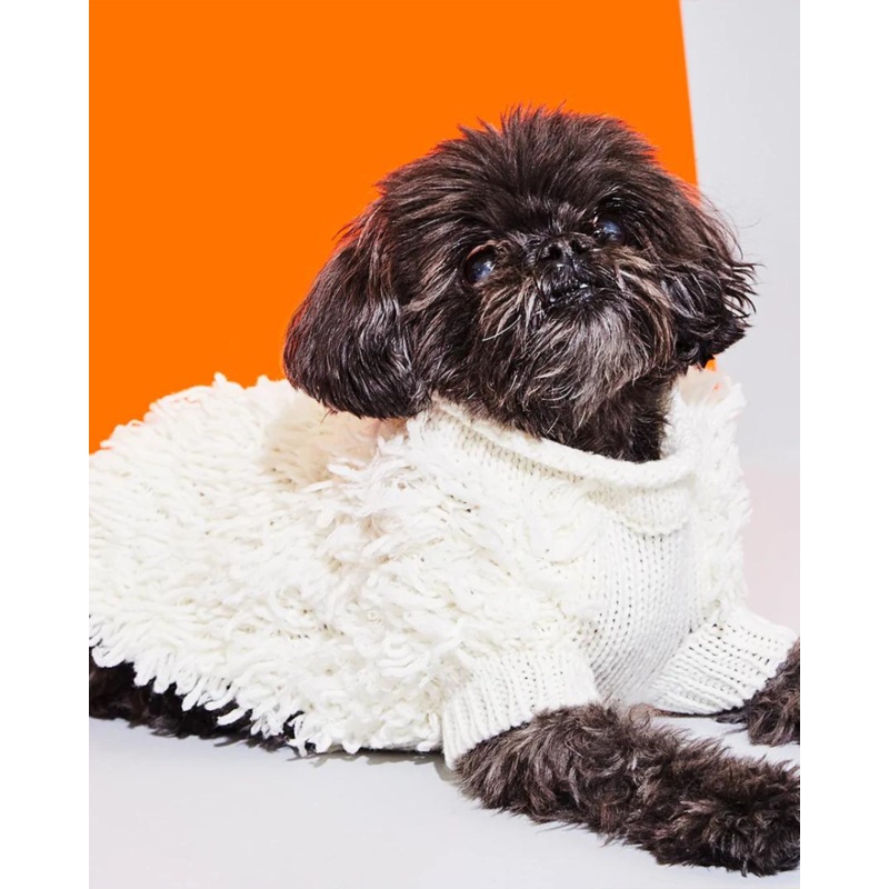 Hairy Wool Blend Dog Sweater in Ivory (FINAL SALE)