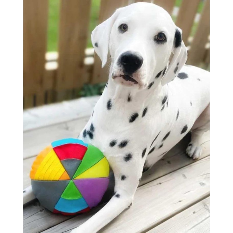 Hide N’ Seek Disk Dog Toy