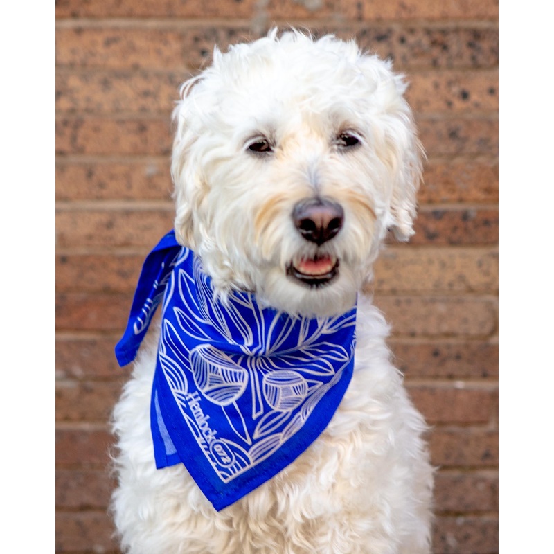 Nyla Bandana for Human & Dog (22×22)