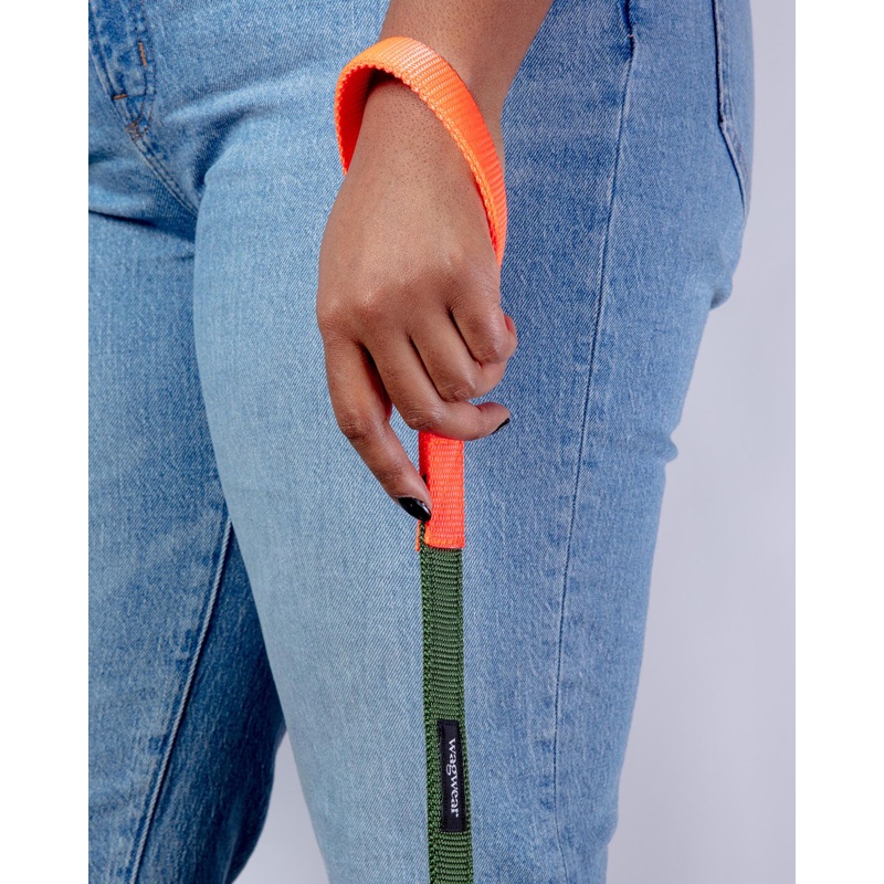Nylon Dog Leash in Olive & Neon Orange (Made in the USA)