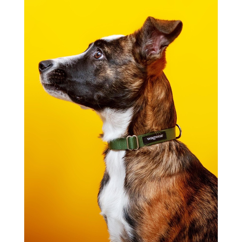 Nylon Metropolitan Collar in Olive Green (Made in the USA)