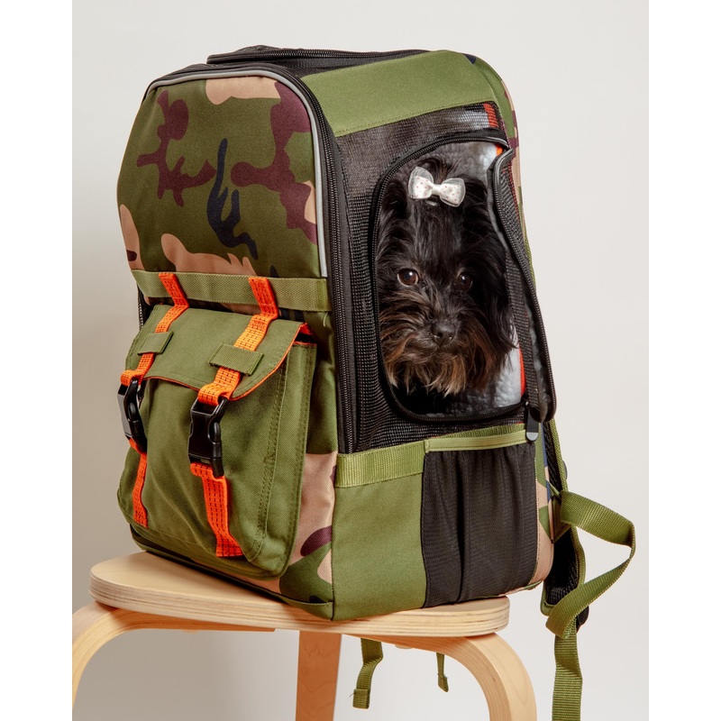Ready-For-Adventure Pet Backpack (Airline Compliant)