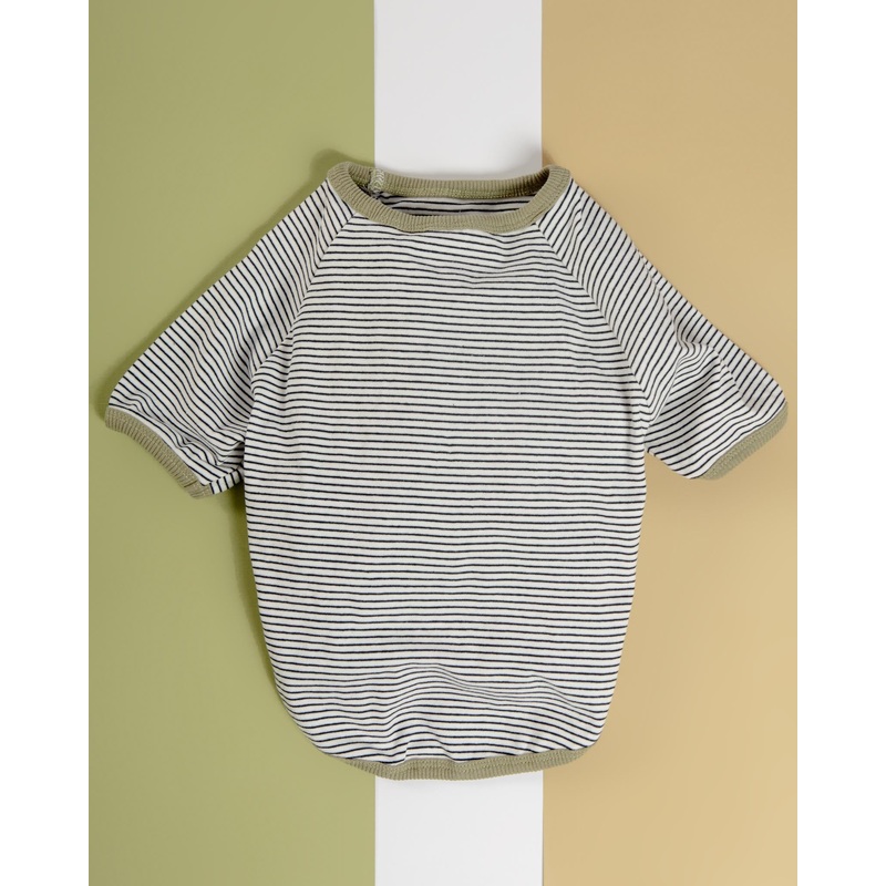 Rib Dog T-Shirt in White & Sage Stripe (CLEARANCE)