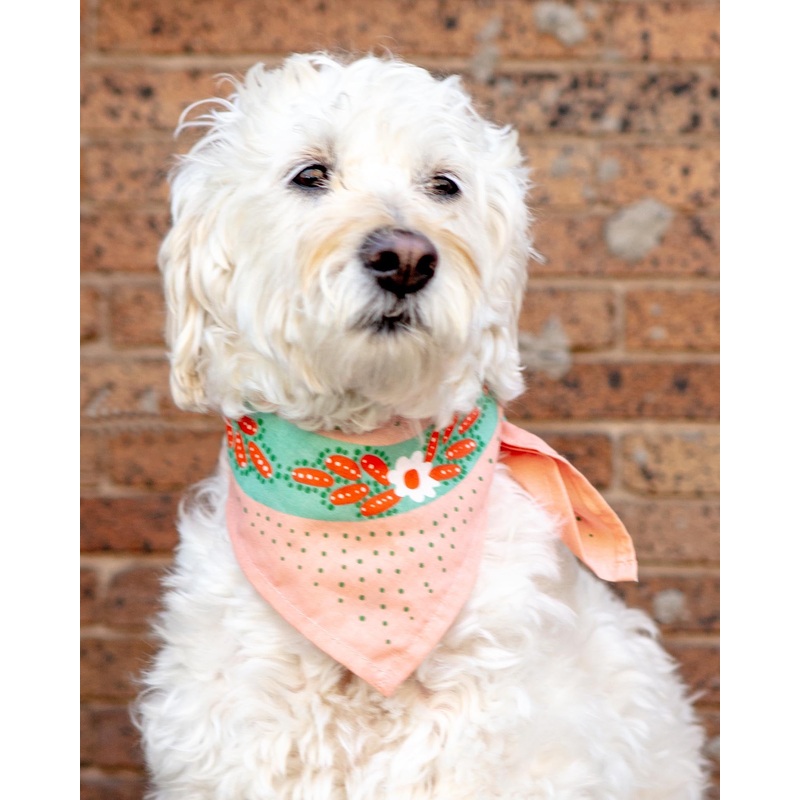 Snakes Bandana for Human & Dog (22×22) (FINAL SALE)