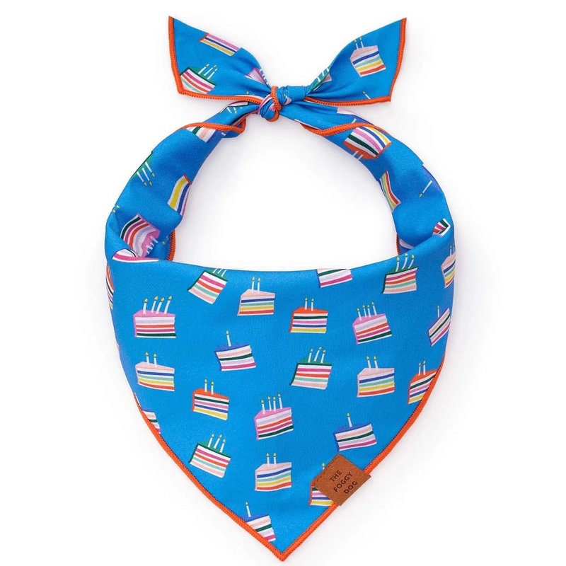 Make A Wish Birthday Dog Bandana (Made in the USA)