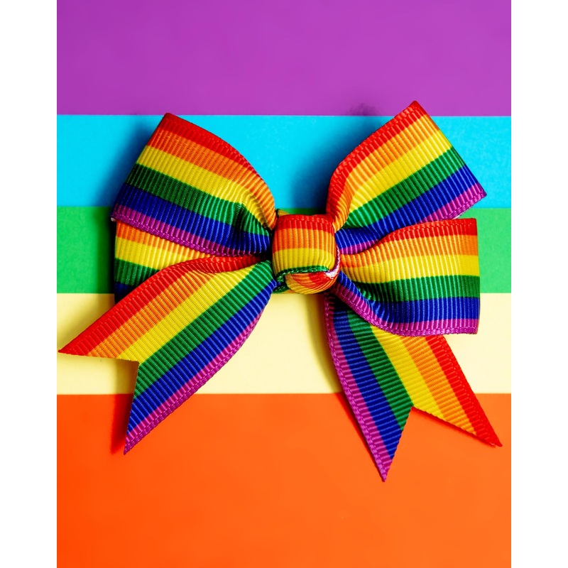 Rainbow Pet Hair Clip (Single) (FINAL SALE)