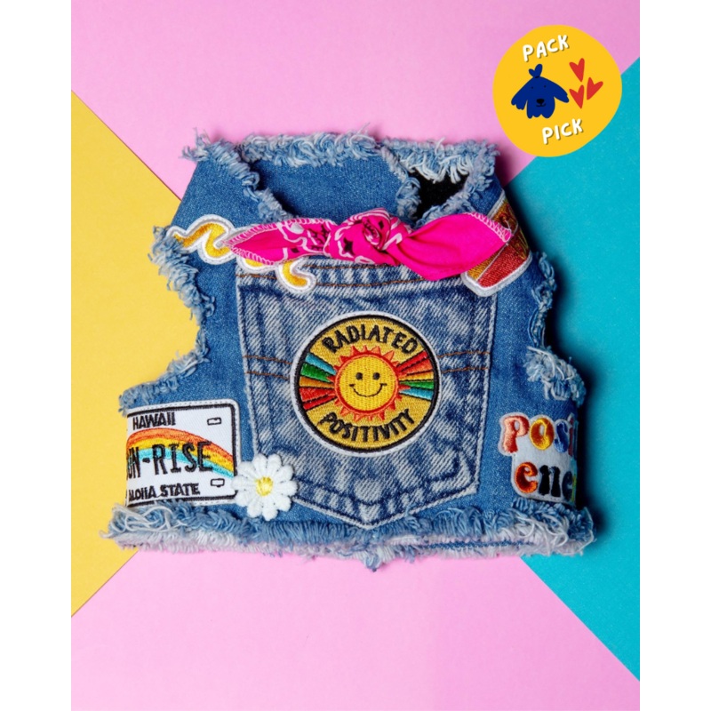 Sunshine Positivity Denim Dog Harness (Made in the USA)